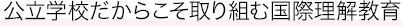 公立学校だからこそ取り組む国際理解教育