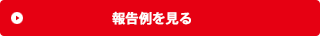 報告書例を見る